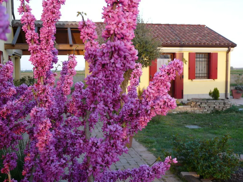 B&B La Garzetta Adria